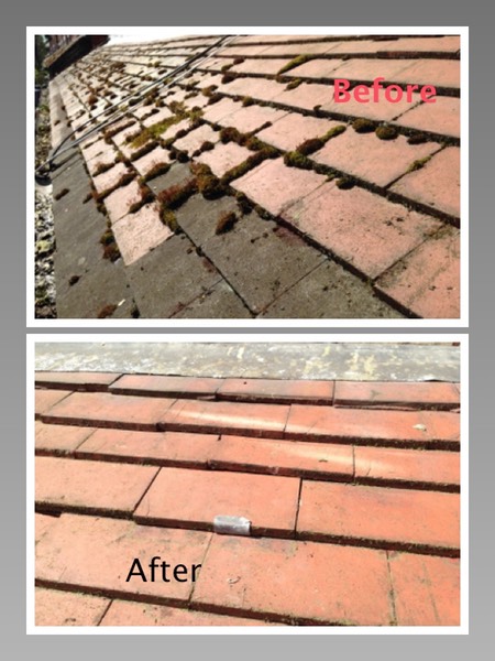 Moss Removal and Roof repair